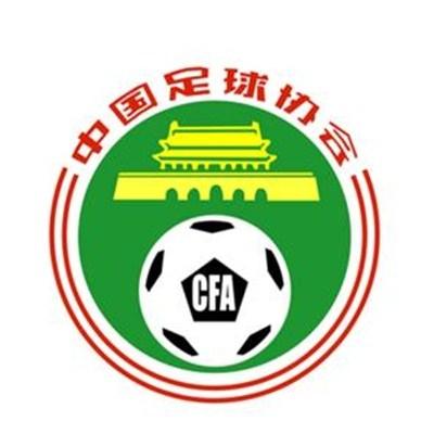 国产20页