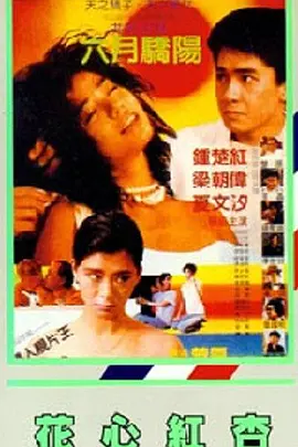 亚洲欧美乱码