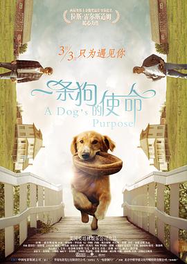 欧美亚洲综合在线观看