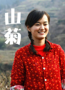 精品久久久久久久高清
