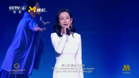 成人综合视频网